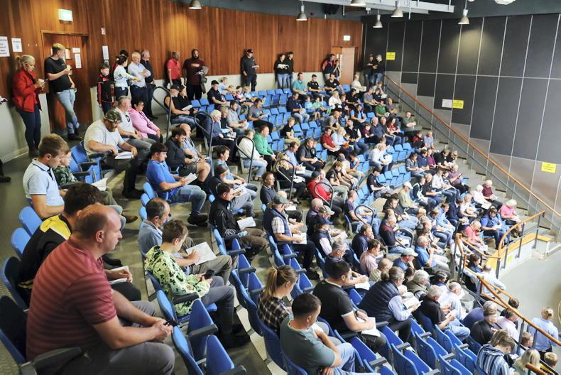 Average of €913/hd and 80% clearance at Sheep Ireland ram sale Average of €913/hd and 80% clearance at Sheep Ireland ram sale