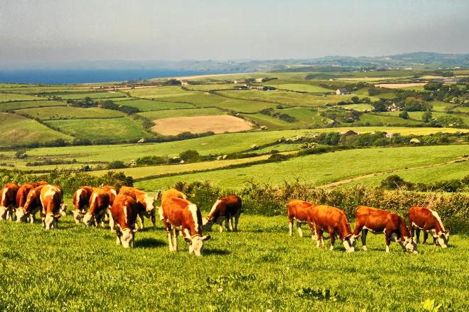 Taking some pointers from the land market Taking some pointers from the land market