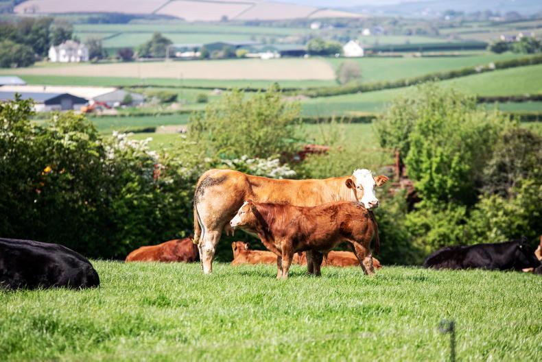 Three weeks from first 2025 scheme payment Three weeks from first 2025 scheme payment