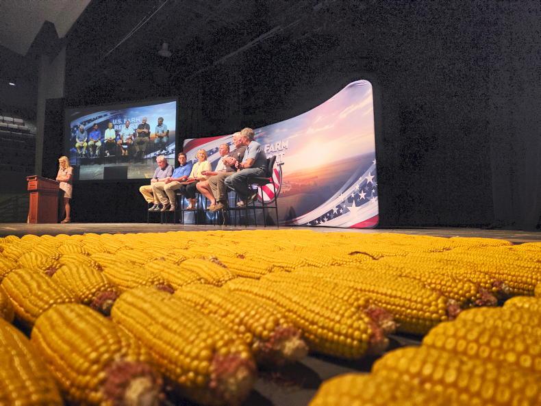 Editorial: Dutch move on nitrates is positive Editorial: Dutch move on nitrates is positive