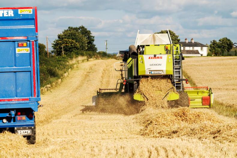 Malting price: where will it land? Malting price: where will it land?