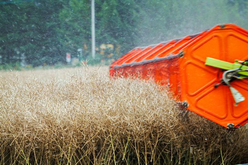 Where will pig, poultry and cattle manure go when tillage is gone? Where will pig, poultry and cattle manure go when tillage is gone?