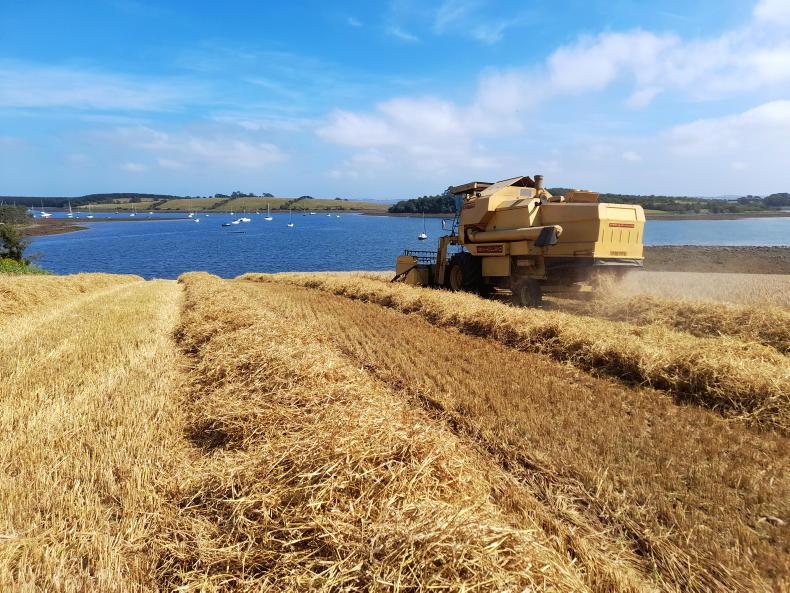 Hard to think of a better harvest than 2025 Hard to think of a better harvest than 2025