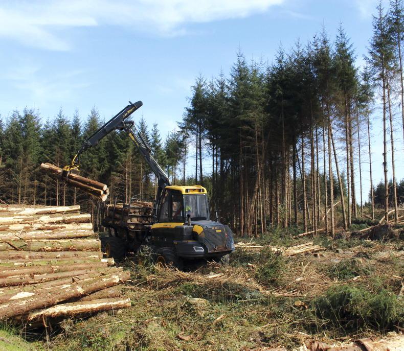 Safeguarding forests and their owners Safeguarding forests and their owners