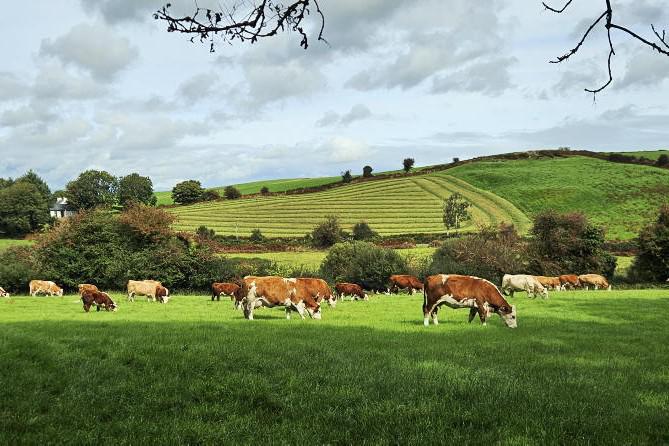Farmer Writes: weather changes plans Farmer Writes: weather changes plans