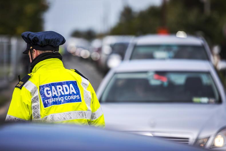 Ploughing 2025: leave the satnav at home, gardaí advise Ploughing 2025: leave the satnav at home, gardaí advise