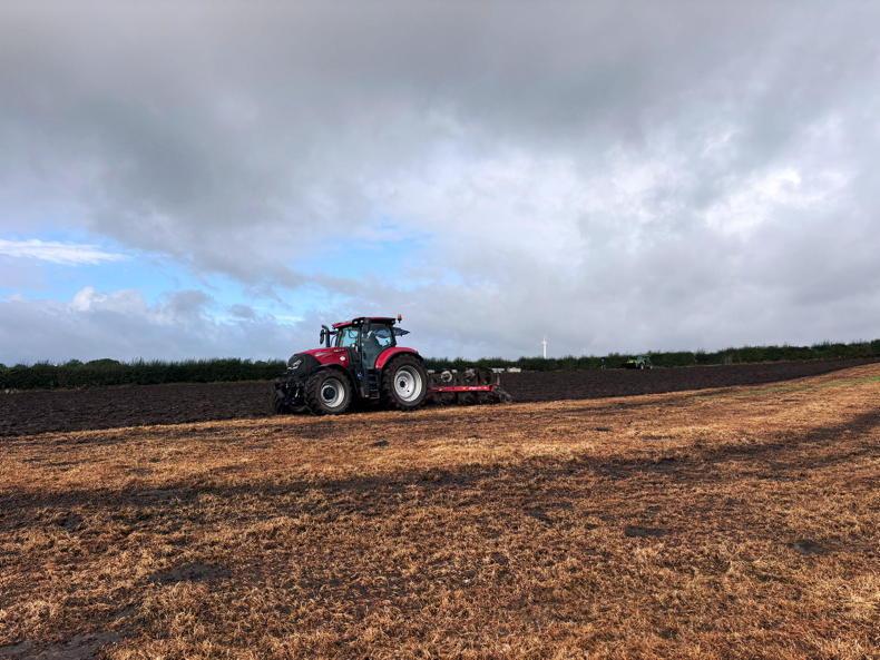 A rapid switch from summer to autumn A rapid switch from summer to autumn