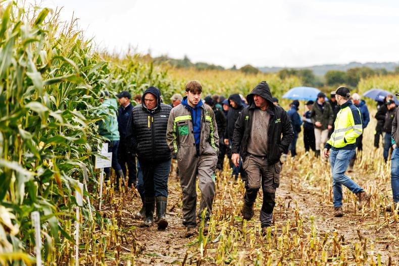 Tillage Management: rye, oats, markets and rules Tillage Management: rye, oats, markets and rules