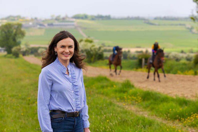 SETU appoints head of veterinary medicine department SETU appoints head of veterinary medicine department