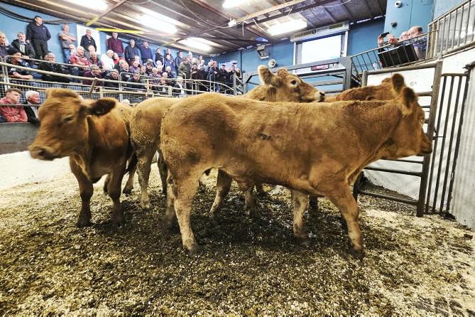 Farmer borrowing drops in 2025 Farmer borrowing drops in 2025