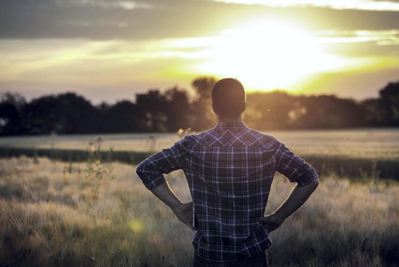 Ploughing 2025: over 15,000 free counselling sessions secured for men Ploughing 2025: over 15,000 free counselling sessions secured for men