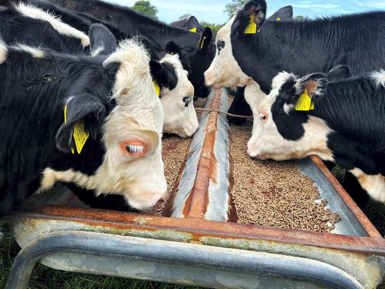 Feed tonnages up over 10% in NI Feed tonnages up over 10% in NI