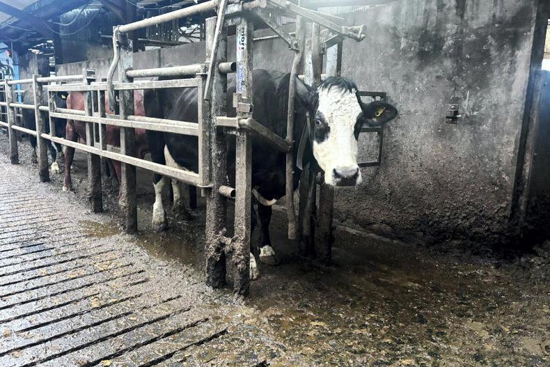 Farmer input sought on costs of TB Farmer input sought on costs of TB