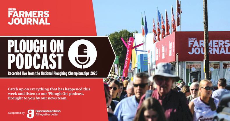 Plough On Podcast: 'farmers should marry an accountant to avoid stress' Plough On Podcast: 'farmers should marry an accountant to avoid stress'