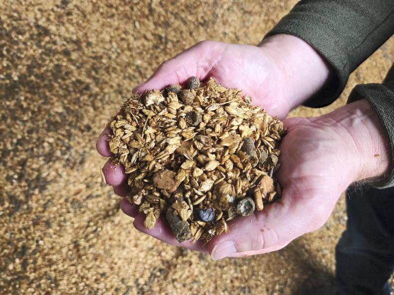 New Irish ration hits the market New Irish ration hits the market