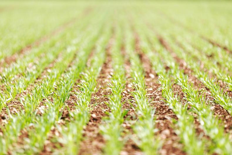 Boortmalt releases 2025 harvest price Boortmalt releases 2025 harvest price