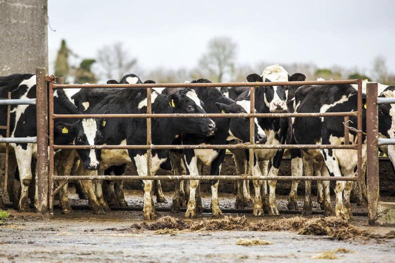 September rainfall almost four times above normal September rainfall almost four times above normal