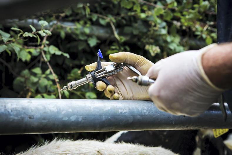 TB reactor numbers show signs of steadying TB reactor numbers show signs of steadying