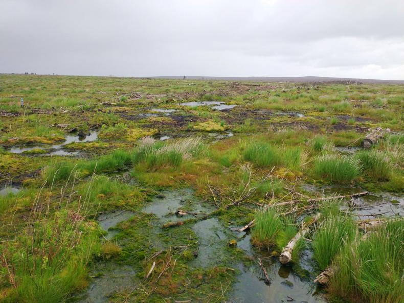 Big ambitions in DAERA peatland strategy Big ambitions in DAERA peatland strategy