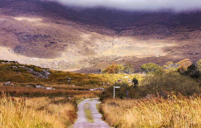 INHFA hits out at State's upland 'rewilding' as no hill research farm in place INHFA hits out at State's upland 'rewilding' as no hill research farm in place