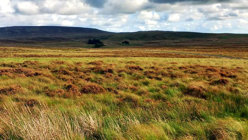 Replacement for EFS Higher to open in 2026 Replacement for EFS Higher to open in 2026