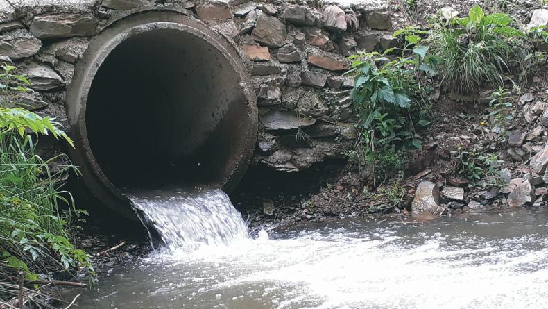 Scientific review backs DAERA’s NAP plan Scientific review backs DAERA’s NAP plan