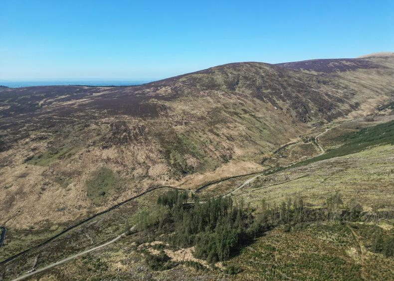 INHFA takes aim at State rewilding plans INHFA takes aim at State rewilding plans