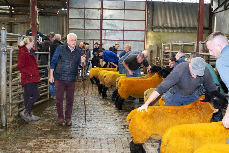 Raphoe and Headford marts cancel Friday evening sales Raphoe and Headford marts cancel Friday evening sales