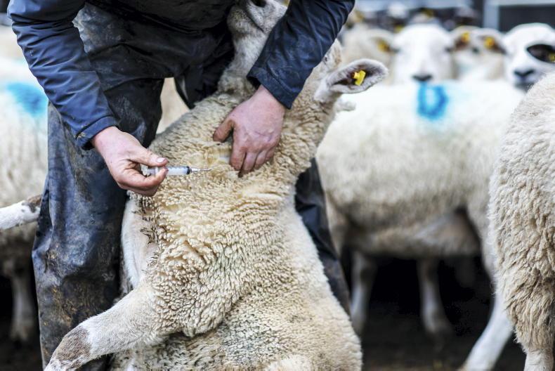 Government must not renege on budget commitments - IFA president Government must not renege on budget commitments - IFA president