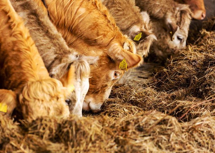 Good times in drystock can’t leave tillage behind Good times in drystock can’t leave tillage behind