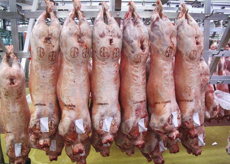 Sheep trends: supply and demand balanced Sheep trends: supply and demand balanced