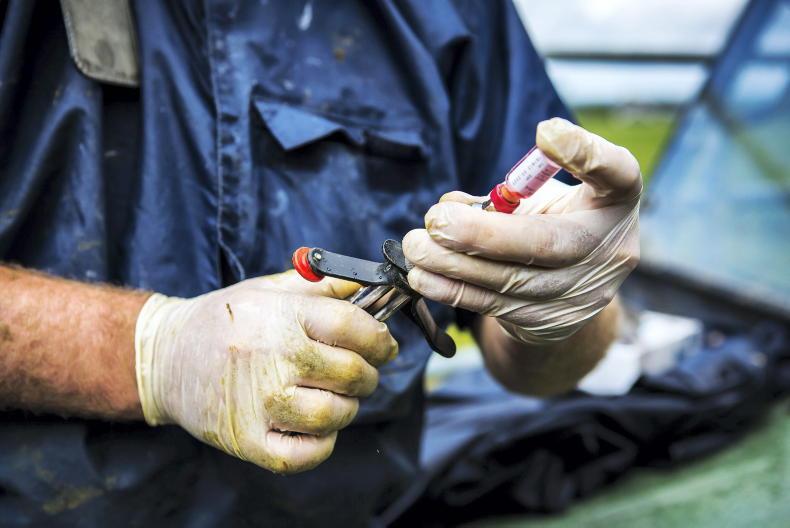 Spiralling TB costs dominate budget Spiralling TB costs dominate budget