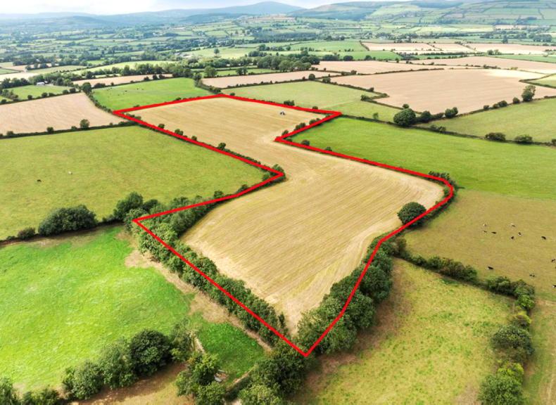 Dairy farmer snaps up 164ac for €3.2m Dairy farmer snaps up 164ac for €3.2m