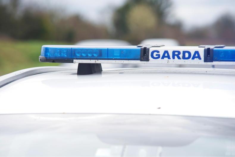 New garda rural crime lead urges reporting of crimes, 'no matter how small'
New garda rural crime lead urges reporting of crimes, 'no matter how small'