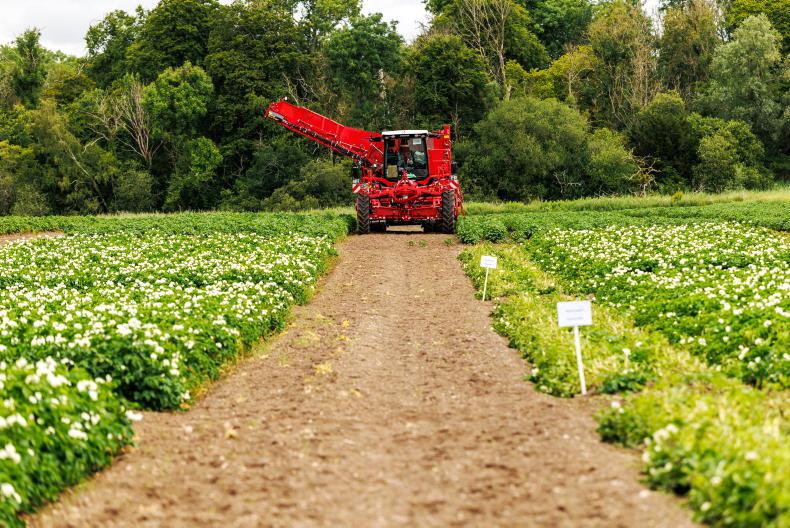 Teagasc ranks well in 2024 researcher-industry rankings Teagasc ranks well in 2024 researcher-industry rankings