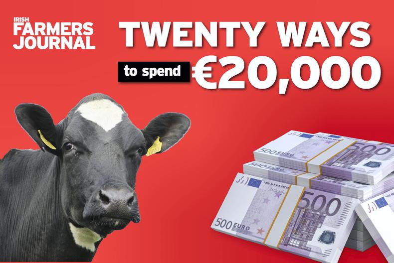 Twenty ways to spend €20,000: automatic calf feeder Twenty ways to spend €20,000: automatic calf feeder