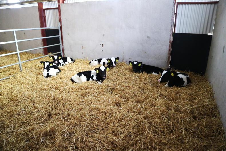 Twenty ways to spend €20,000: automatic calf feeder Twenty ways to spend €20,000: automatic calf feeder
