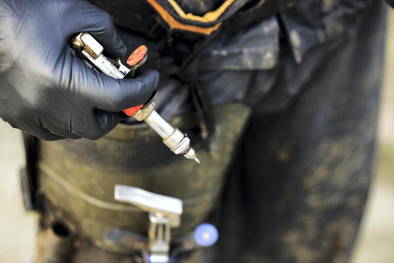 ICMSA calls for TB compensation ceilings to increase ICMSA calls for TB compensation ceilings to increase