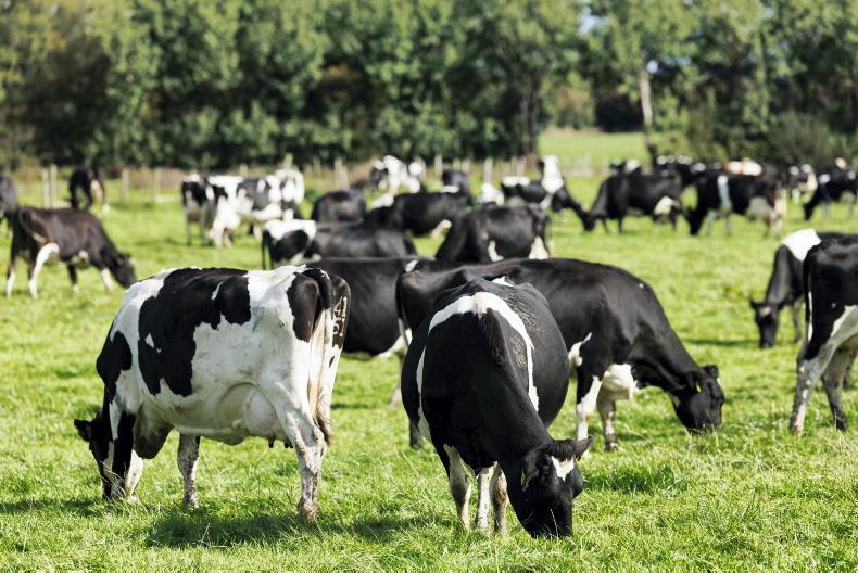 Good spell of weather saves farmers millions Good spell of weather saves farmers millions
