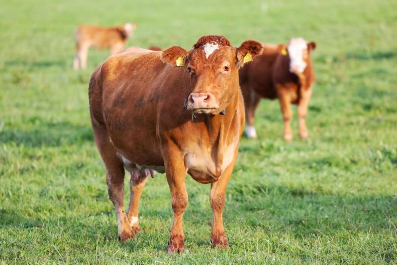 BISS payments will start to issue on Thursday BISS payments will start to issue on Thursday