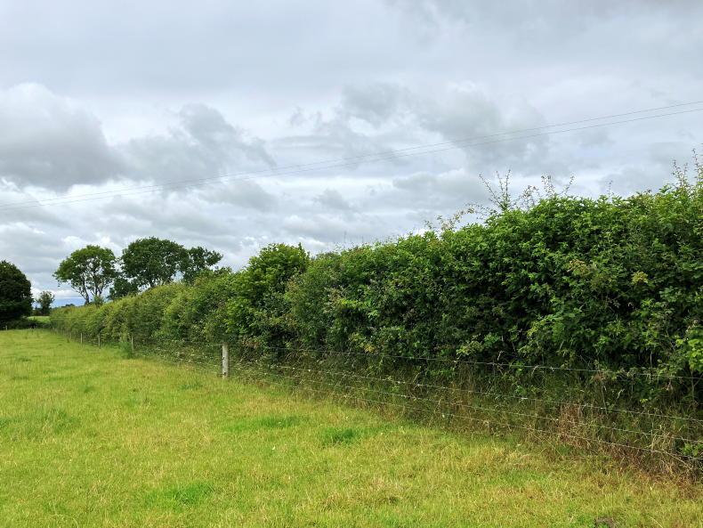 Penalties apply to 'all schemes', states DAERA Penalties apply to 'all schemes', states DAERA