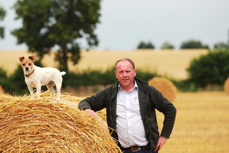 Farmer writes: faraway fields are always a bit greener Farmer writes: faraway fields are always a bit greener