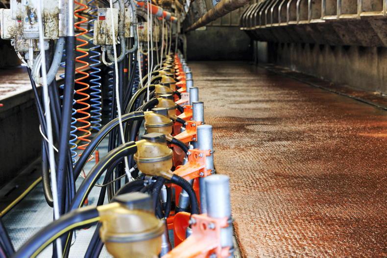 Tirlán’s milk price drop is steepest of any co-op yet Tirlán’s milk price drop is steepest of any co-op yet