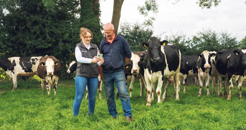 Get your cows ready to thrive this dry-off season Get your cows ready to thrive this dry-off season