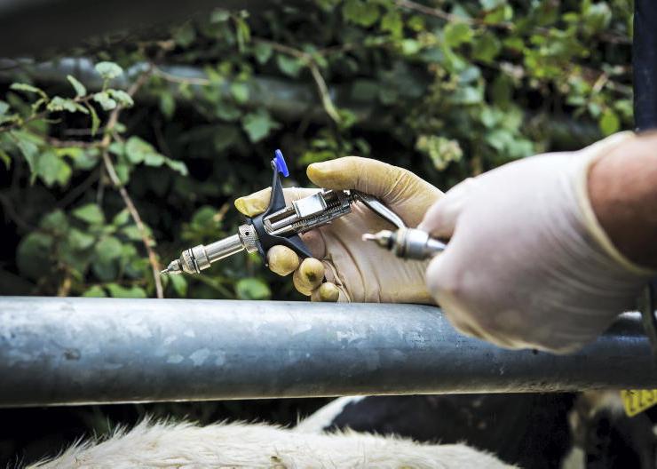 TB reactors rise by 6% to more than 40,000 this year TB reactors rise by 6% to more than 40,000 this year