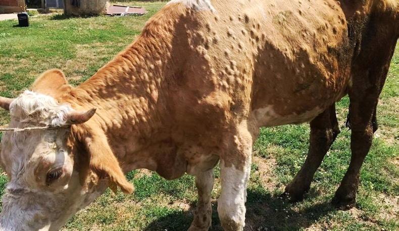 Editorial: importance of high health status cannot be overstated Editorial: importance of high health status cannot be overstated