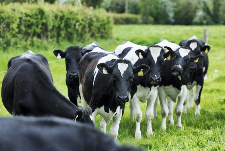 Schemes update: error in July and August N and P statements Schemes update: error in July and August N and P statements