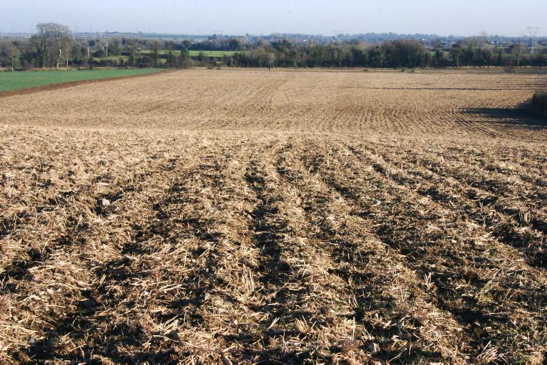 Stubble cultivation rules to be scrapped Stubble cultivation rules to be scrapped