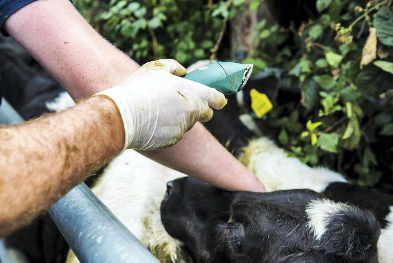 Vet TB testing breaches to be treated ‘seriously’ Vet TB testing breaches to be treated ‘seriously’