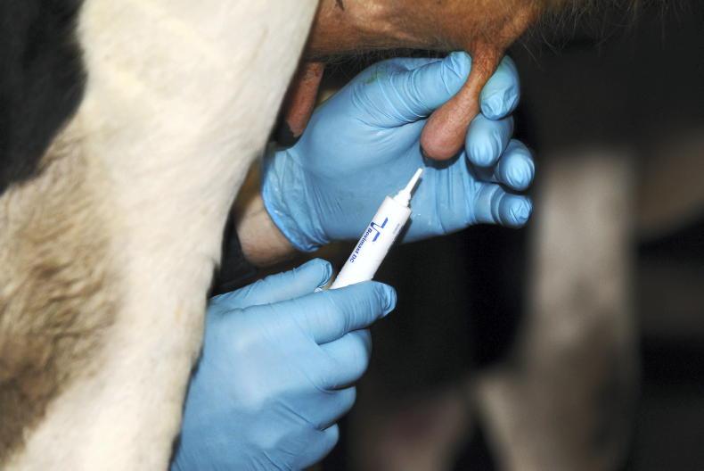 Dairy Management: housing and drying off Dairy Management: housing and drying off